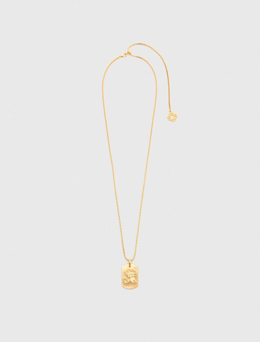 Zodiac sign plaque necklace | Maje