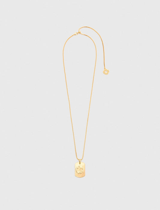 Zodiac sign plaque necklace | Maje