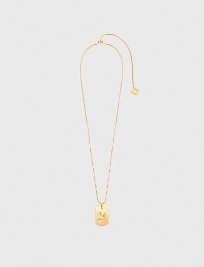 Zodiac sign plaque necklace | Maje