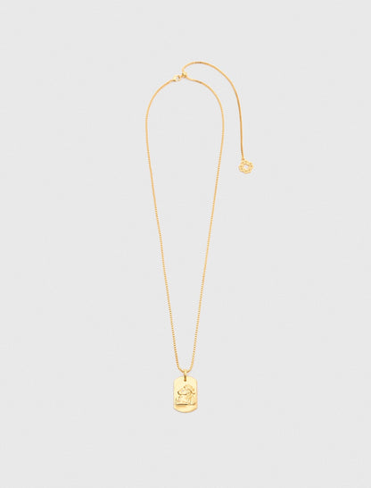 Zodiac sign plaque necklace | Maje