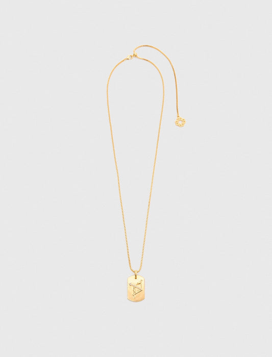 Zodiac sign plaque necklace | Maje