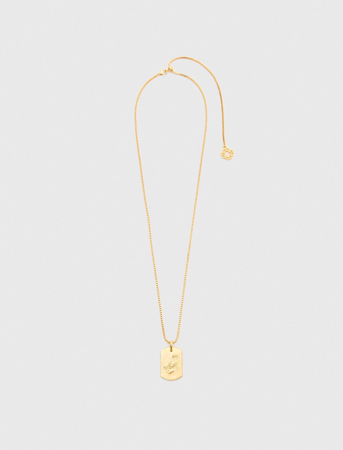 Zodiac sign plaque necklace | Maje
