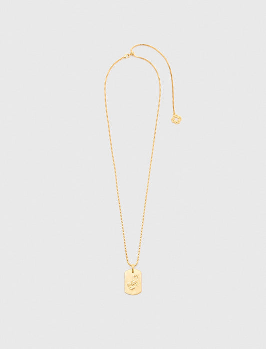 Zodiac sign plaque necklace | Maje