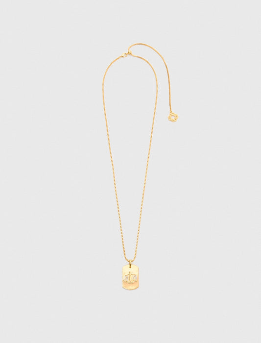Zodiac sign plaque necklace | Maje