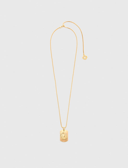 Zodiac sign plaque necklace | Maje
