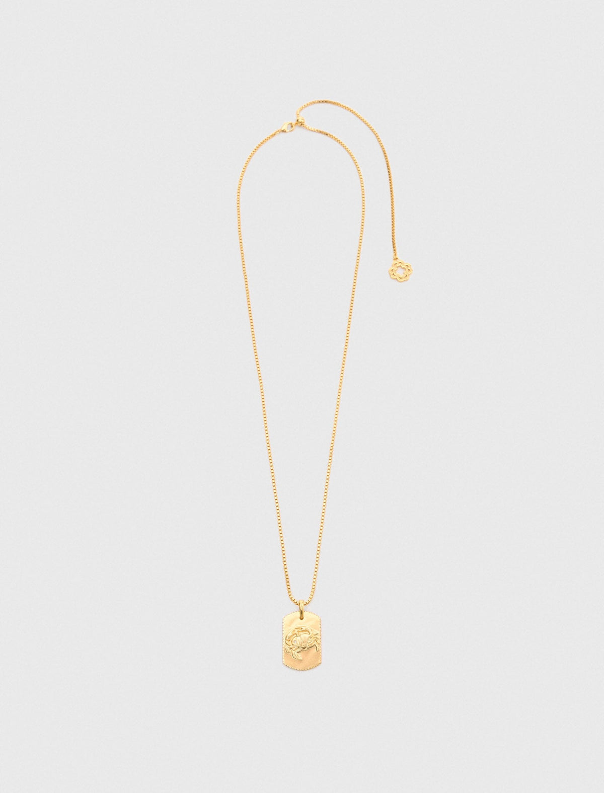 Zodiac sign plaque necklace | Maje