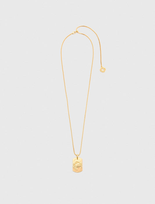 Zodiac sign plaque necklace | Maje