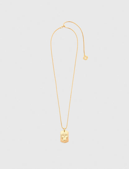 Zodiac sign plaque necklace | Maje