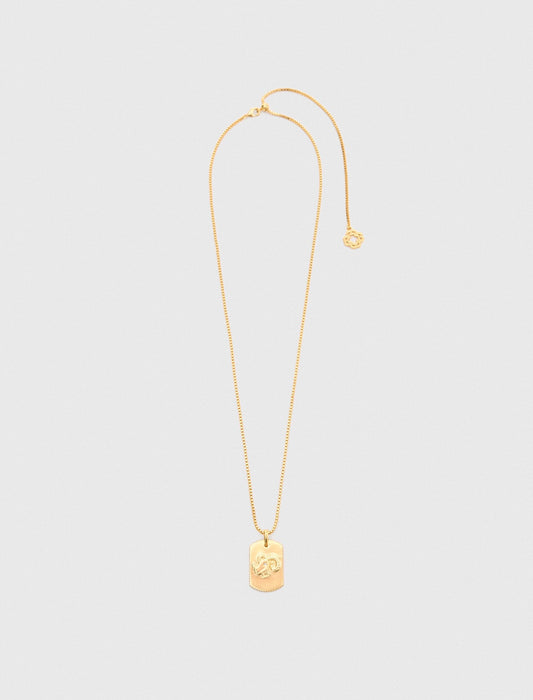 Zodiac sign plaque necklace | Maje